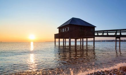 Camping am Bodensee: vier Campingplätze auf österreichischer Seite