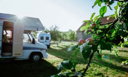 „Landvergnügen“: Neue Auflage erscheint mit Stellplätzen auf 300 zusätzlichen Höfen