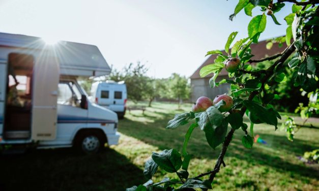 „Landvergnügen“: Neue Auflage erscheint mit Stellplätzen auf 300 zusätzlichen Höfen