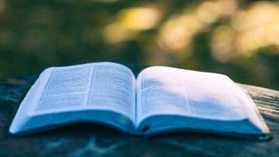 Bücher und Apps