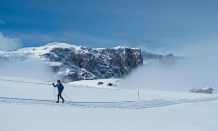 Langlaufen: die besten Tipps zu Training, Technik und Ausrüstung