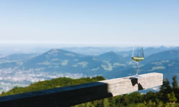 Wein unterwegs: Was man über Österreichs Rebsorten wissen sollte