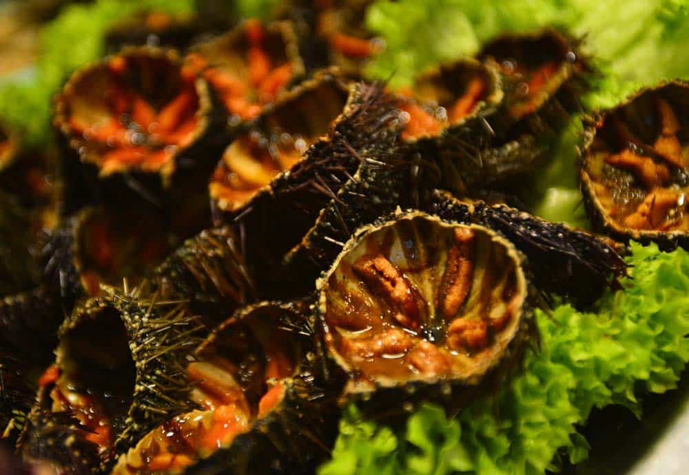 Seeigel essen