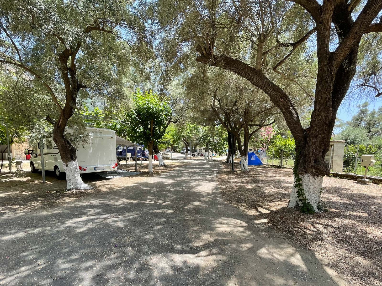 Camping auf der griechischen Insel Lefkada: Sieben Campingpltze im  berblick - CAMPING Magazin