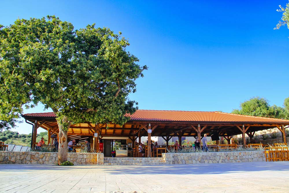 Restaurant Olea Camping