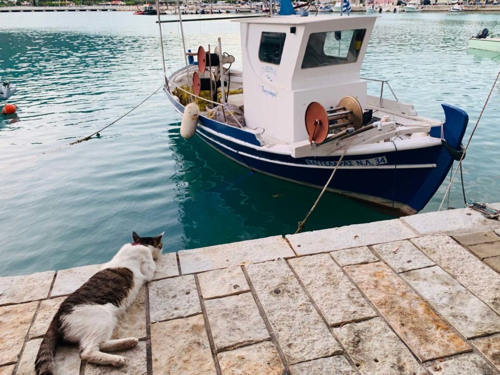 Vasiliki ©VANLIFE Magazin