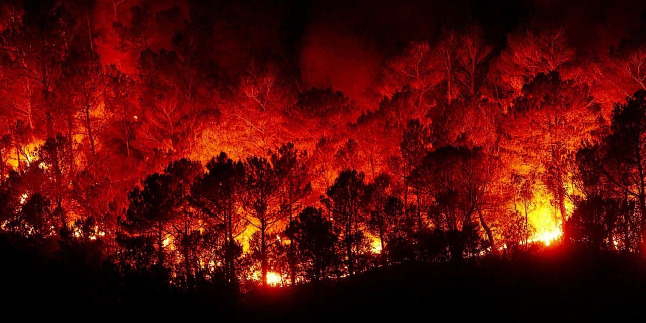 Wald- und Wiesenbrandgefahr: Feuerlöscher immer im Camper-Van mitführen