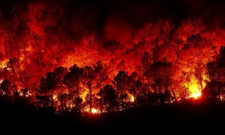 Wald- und Wiesenbrandgefahr: Feuerlöscher immer im Camper-Van mitführen