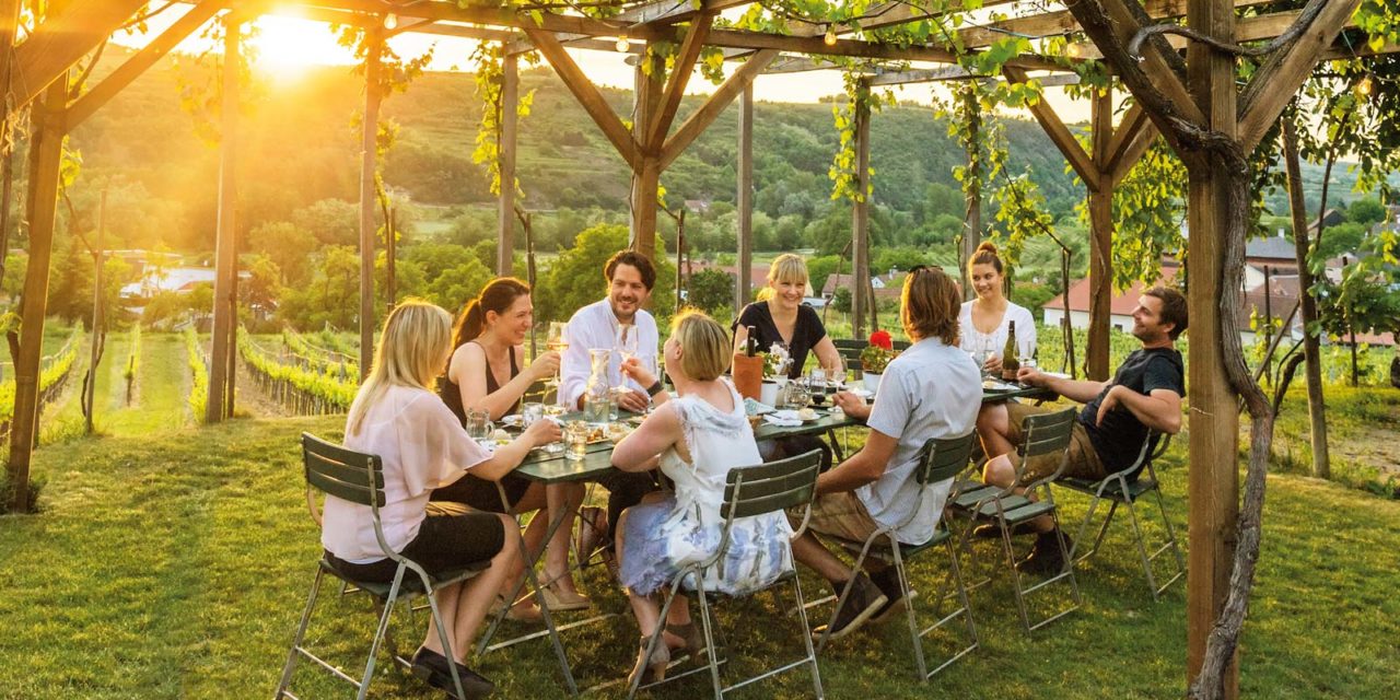 Wein Guide Weiß  2021: Alles über den österreichischen Weißwein