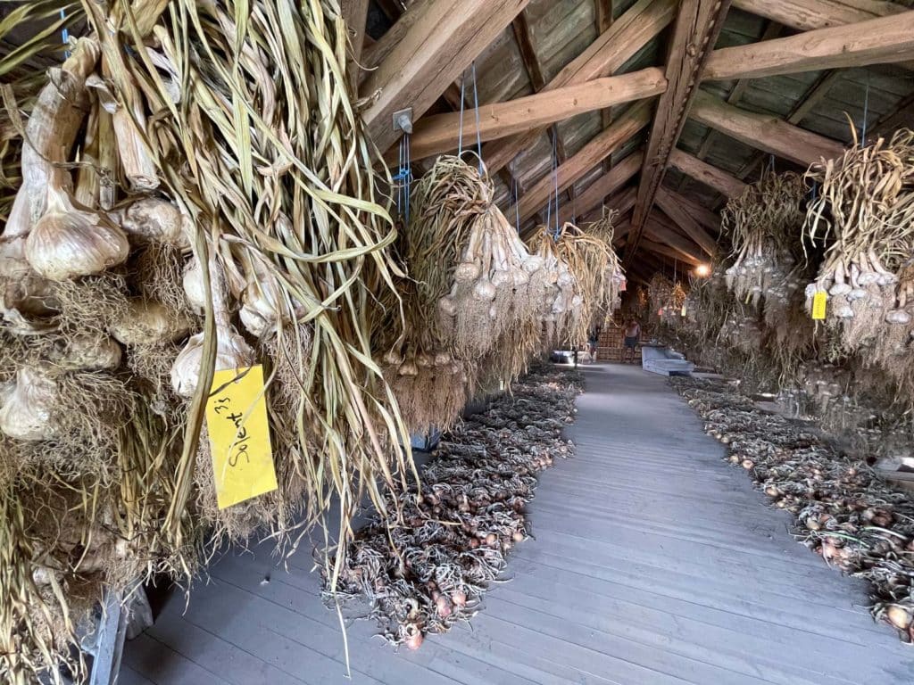 Knoblauch beim Wirtsbauern ©VANLIFE Magazin