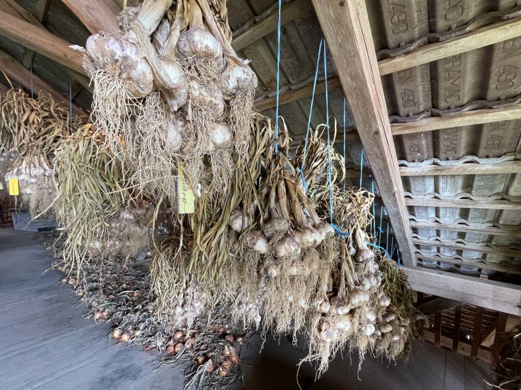 Knoblauch beim Wirtsbauern ©VANLIFE Magazin