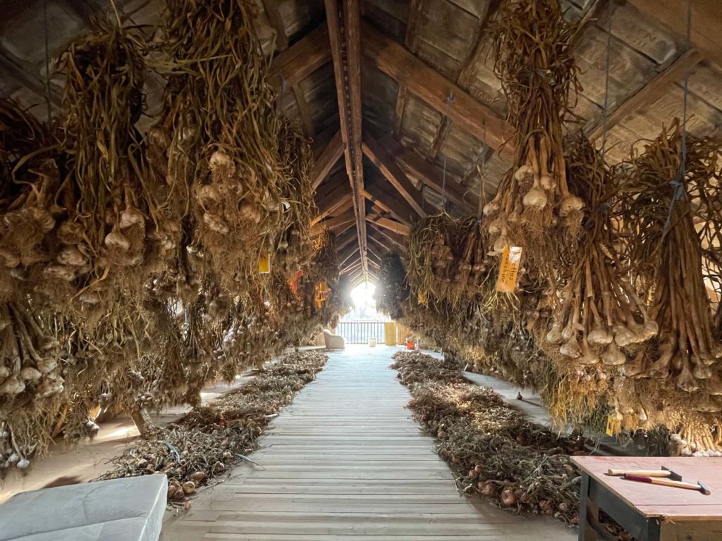 Knoblauch beim Wirtsbauern ©VANLIFE Magazin