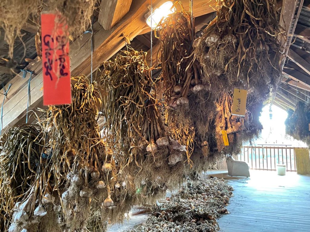 Knoblauch beim Wirtsbauern ©VANLIFE Magazin