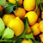 Zitronenfrisch auf Reisen: 8 einfache Camping-Rezepte mit Zitrone