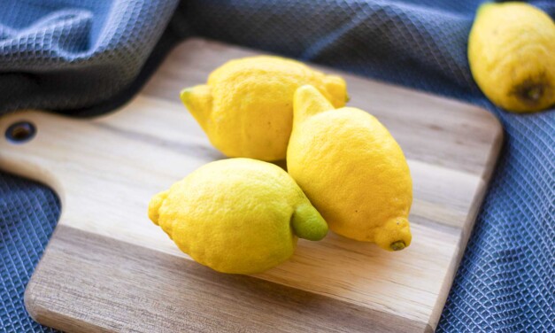 Zitronenfrisch auf Reisen: 8 einfache Camping-Rezepte mit Zitrone