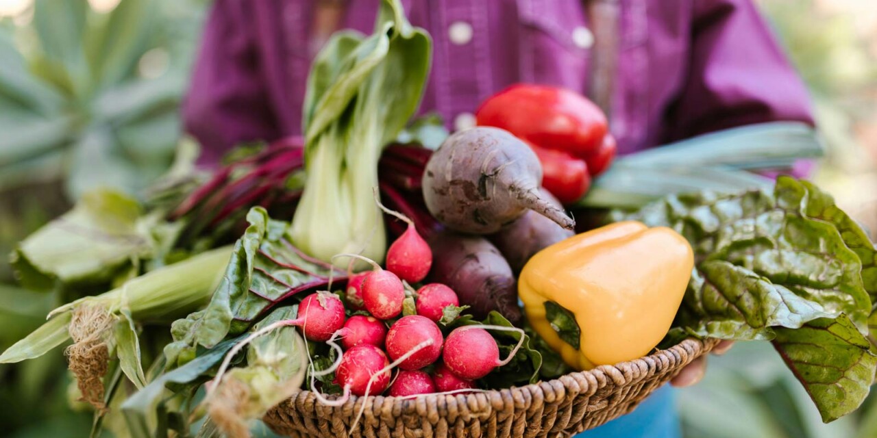 „Gutes vom Bauernhof“-Produkte jetzt noch einfacher finden