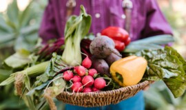 "Gutes vom Bauernhof"-Produkte jetzt noch einfacher finden Campingreisen und Einkaufen am Bauernhof oder Bauernmarkt passen einfach gut zusammen. Auf der neu gestalteten Website findet man dazu alle Anbieter in Österreich.