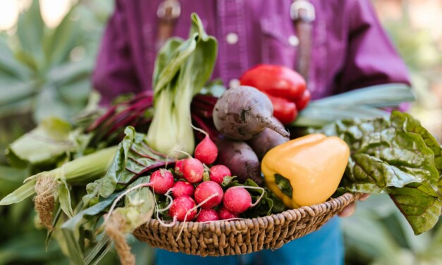 „Gutes vom Bauernhof“-Produkte jetzt noch einfacher finden