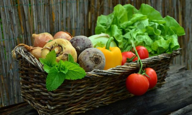 Das sind die besten Regionalläden in Niederösterreich